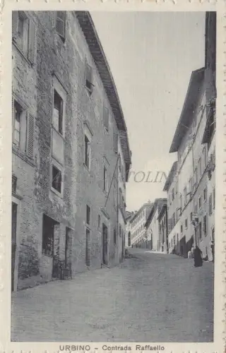 URBINO - Contrada Raffaello