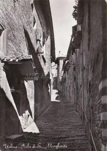 URBINO - Piola di S. Margherita 1963