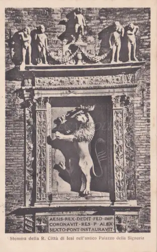 JESI - Wappen der Stadt im Herrschaftspalast