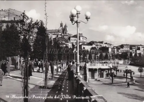MACERATA - Passeggiata del Viale Puccinotti 1955