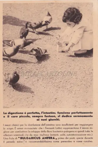 ANCONA - Bulgaricus Anfera, Laboratorio Chimico Angelini & Ferranti 1936