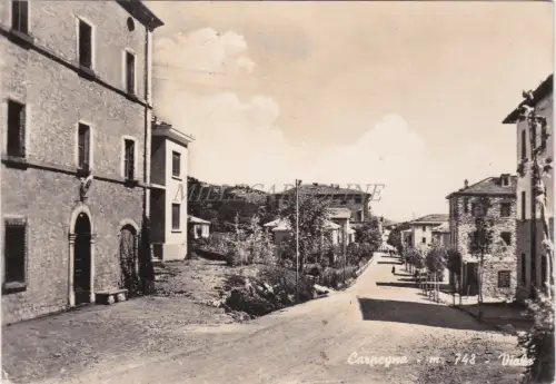 CARPEGNA - Viale 1955
