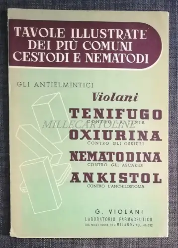 TENIFUGO VIOLANI - Anthelminthika, gängige illustrierte Bretter Korb- und Nematoden