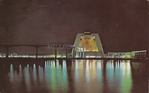 WALT DISNEY - Florida Walt Disney World