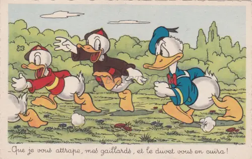 WALT DISNEY - Donald Duck & Huey Dewey Louie, Dass ich dich fange, meine Kerle