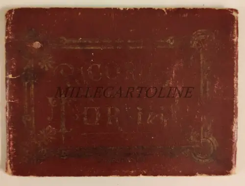 ERINNERUNG AN TURIN - 15 Akkordeon-Illustrationen, 1904 gereist