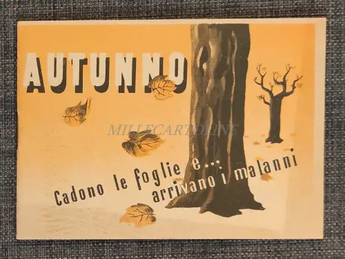 HEUMANN - Herbst Blätter & Übel.. Werbemappe Fotos & Zeichnungen 1939