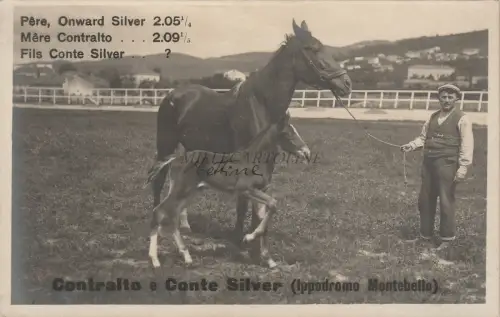 TRIEST - Pferderennbahn Montebello, Cavalli Contralto e Conte Silver - Stuparich FC