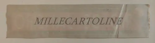 SOCIETA' NAVIGATION ITALIA - Rio de Janeiro Label Steamship