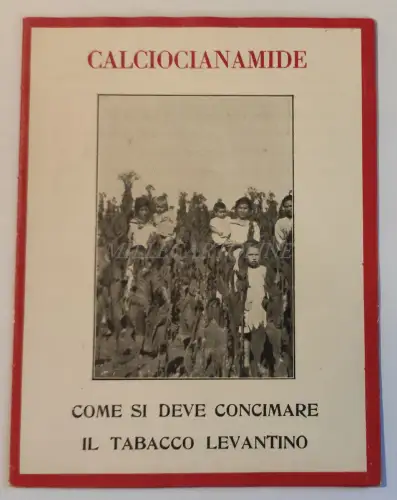 CALCIOCIANAMID - Wie man Levantino-Tabak düngt 1931