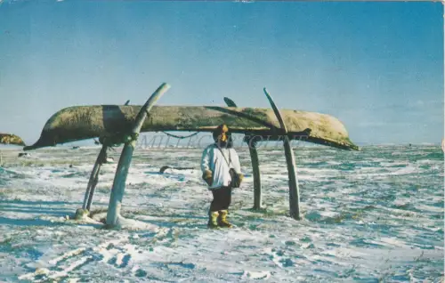 ALASKA - Eskimo Umniak auf Whalebone Plattform gelagert