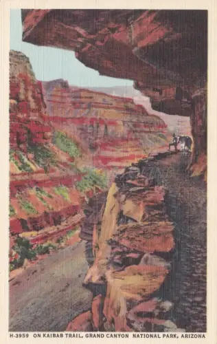 ARIZONA - On Kaibab Trail, Grand Canyon National Park