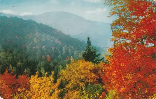 NORTH CAROLINA - Mt. Mitchell and Autumn Color