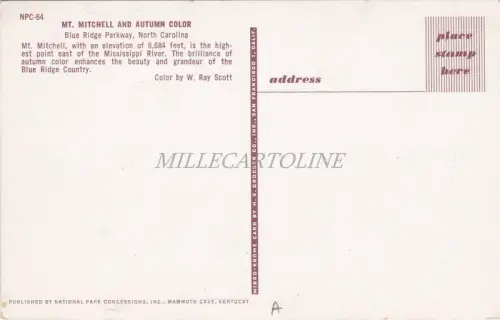 NORTH CAROLINA - Mt. Mitchell and Autumn Color