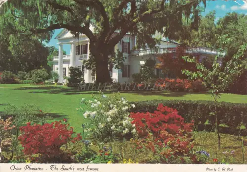 NORTH CAROLINA - Wilmington, Orton Plantation and Gardens