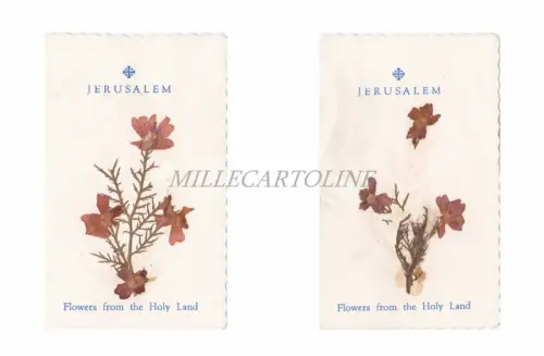 JERUSALEM - 2 Kartons mit Blumen aus dem Heiligen Land