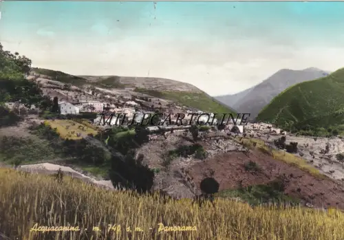 ACQUACANINA: Panorama 1965