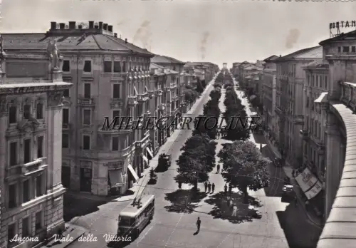 ANCONA: Viale della Vittoria 1957