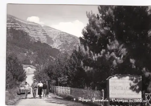 CARPEGNA: FORSTHÜTTE