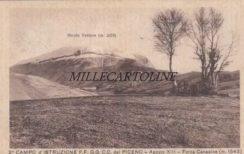 HANAPINE GABEL: 2. Ausbildungsfeld F.F.C.C. del Piceno - August XIII