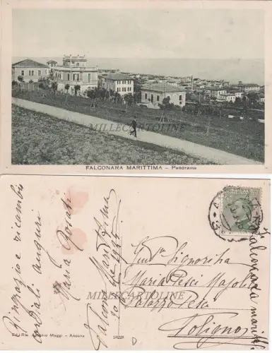 FALCONARA M.: Panorama 1925