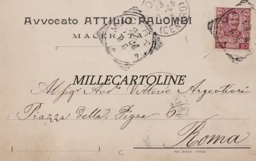MACERATA: Kopfstück - Avvocato Attilio Palombi 1904