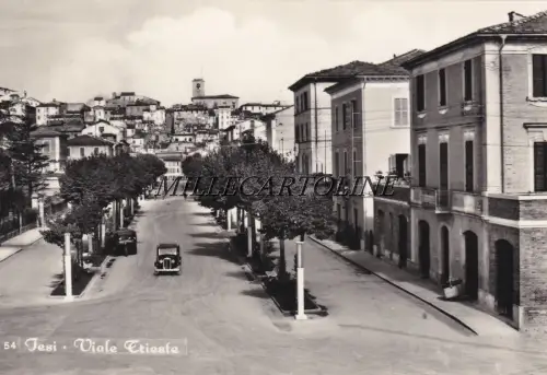 JESI: Viale Trieste