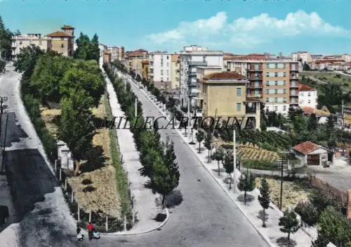 MACERATA: Viale Carradori 1960
