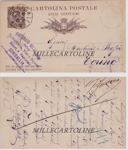 SENIGALLIA: Kopfstück 1889 F. Boldreghini zur Bestellung bei Martini & Rossi