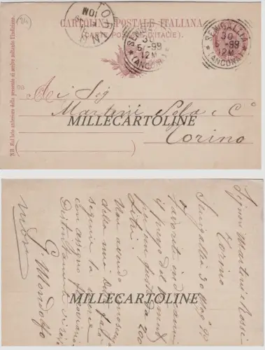 SENIGALLIA: Kopfstück 30-6-1899 Karton. postale 10c. bei Martini bestellen