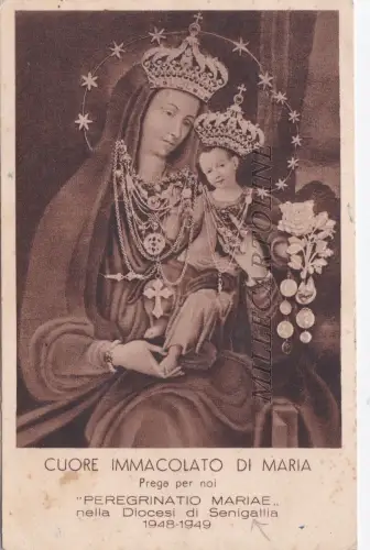 SENIGALLIA: Unbefleckter Kern Mariens - bitte für uns - Diözese Senigallia