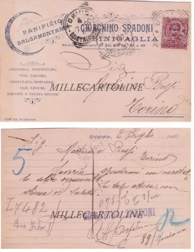 SENIGALLIA: Kopfstück 1900 Panificio G. Spadoni Ordinaz. Alla Martini & Rossi