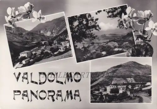 VALDOLMO: Panorama 1955
