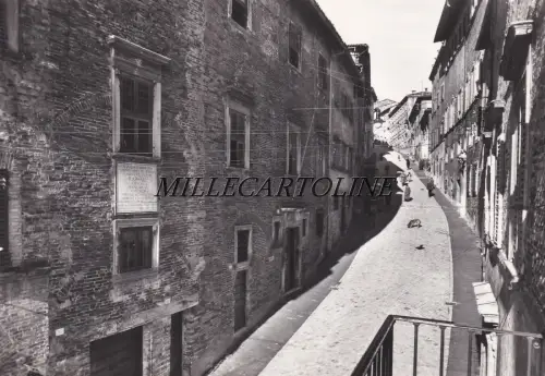 URBINO: Casa e Contrada Raffaello