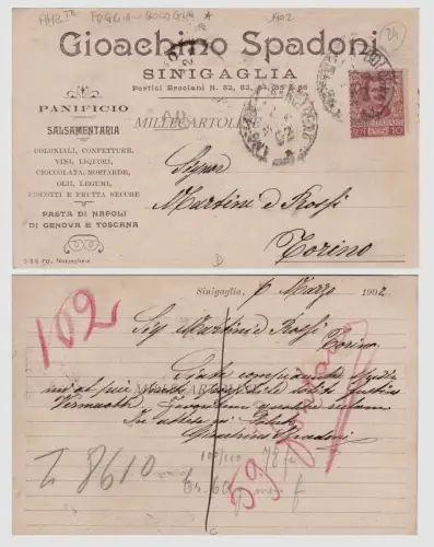 SINIGAGLIA: Kopfstück - GIOVACCHINO SPADONI - Bäckerei Salsateria 1902
