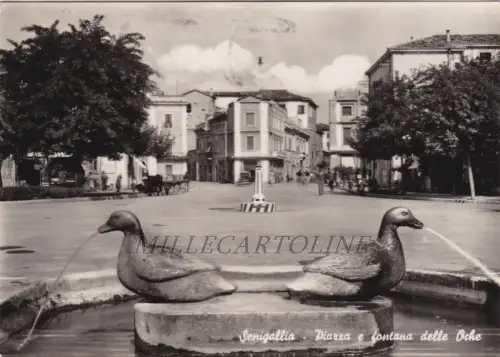 SENIGALLIA: Piazza e Fontana delle Oche 1959