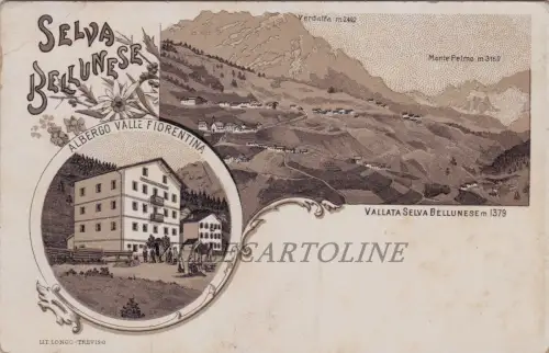SELVA BELLUNESE: Albergo Valle Fiorentina - Vallata