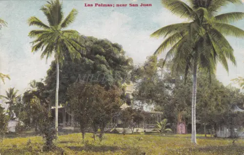 PUERTO RICO - Las Palmas, bei San Juan