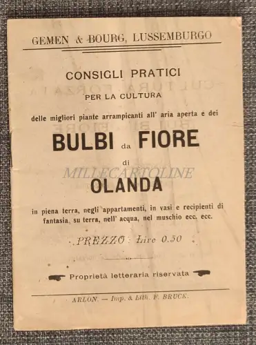 GEMEN & BOURG LUXEMBURG - Broschüre Praktische Tipps Blumenzwiebeln Holland