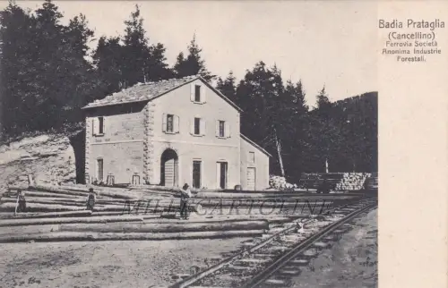 BADIA PRATAGLIA: (Cancellino) Ferrovia Societa' An. Forstwirtschaft