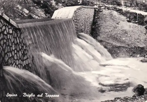 SEPINO: Zaumzeug auf der Kappe