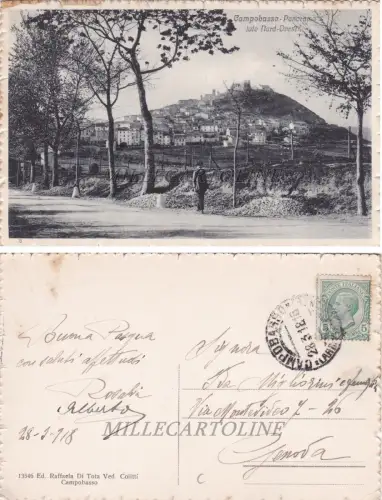 CAMPOBASSO: Panorama Nordwestseite 1918