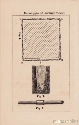 § WISSENSCHAFTLICHE ERFINDUNGEN - DIE ENTWÄSSERUNG ODER TROCKNUNG FORM 1880 C.A