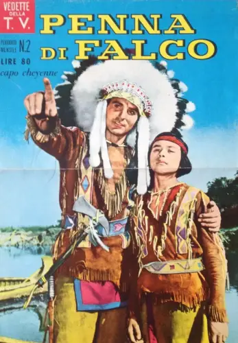 § PLAKAT - TV-ANSICHTEN - FALKENSTIFT