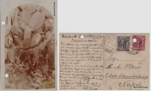 # MARINA BELVEDERE MARITTIMO (CS) Fotokarte EINES KAKTUS - TEXT DAZU..