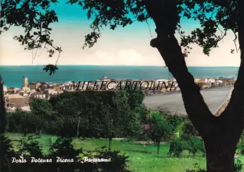 PICENA POWER PORT: Panorama