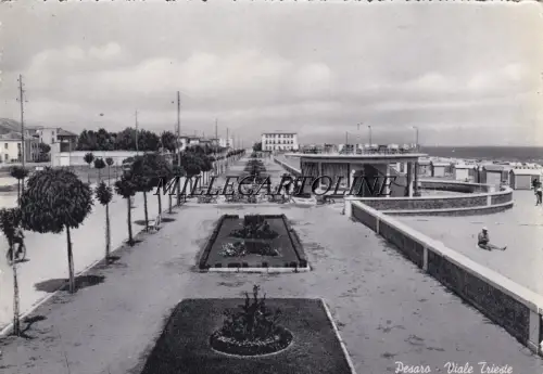 GEWICHT: Viale Trieste 1953