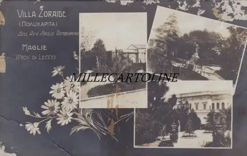 TRIKOTS: Villa Zoraide (von Avv. Paolo Tamborino) Fotokart. al Bromid