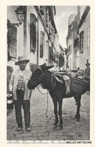 SPANIEN - Sevilla - Sevillanische Typen - Ein Milchkännchen