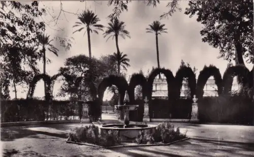 SPANIEN - Sevilla - Jardines de las Delicias - Foto Postkarte 1960